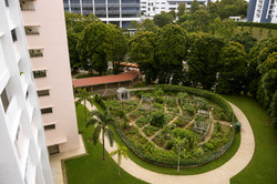 Blk 502 Ang Mo Kio Avenue 5 (Ang Mo Kio), HDB 3 Rooms #573591771
